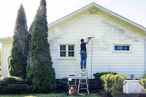Best Fence Pressure Washing  in Bromley, KY