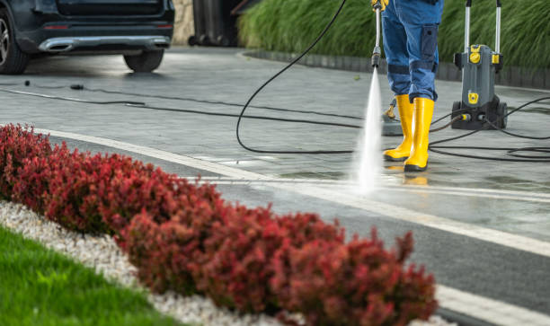 Best Deck Cleaning Services  in Bromley, KY